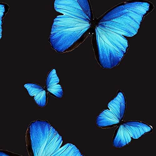 Blue Monarch Butterfly