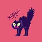 Grumpy Cat