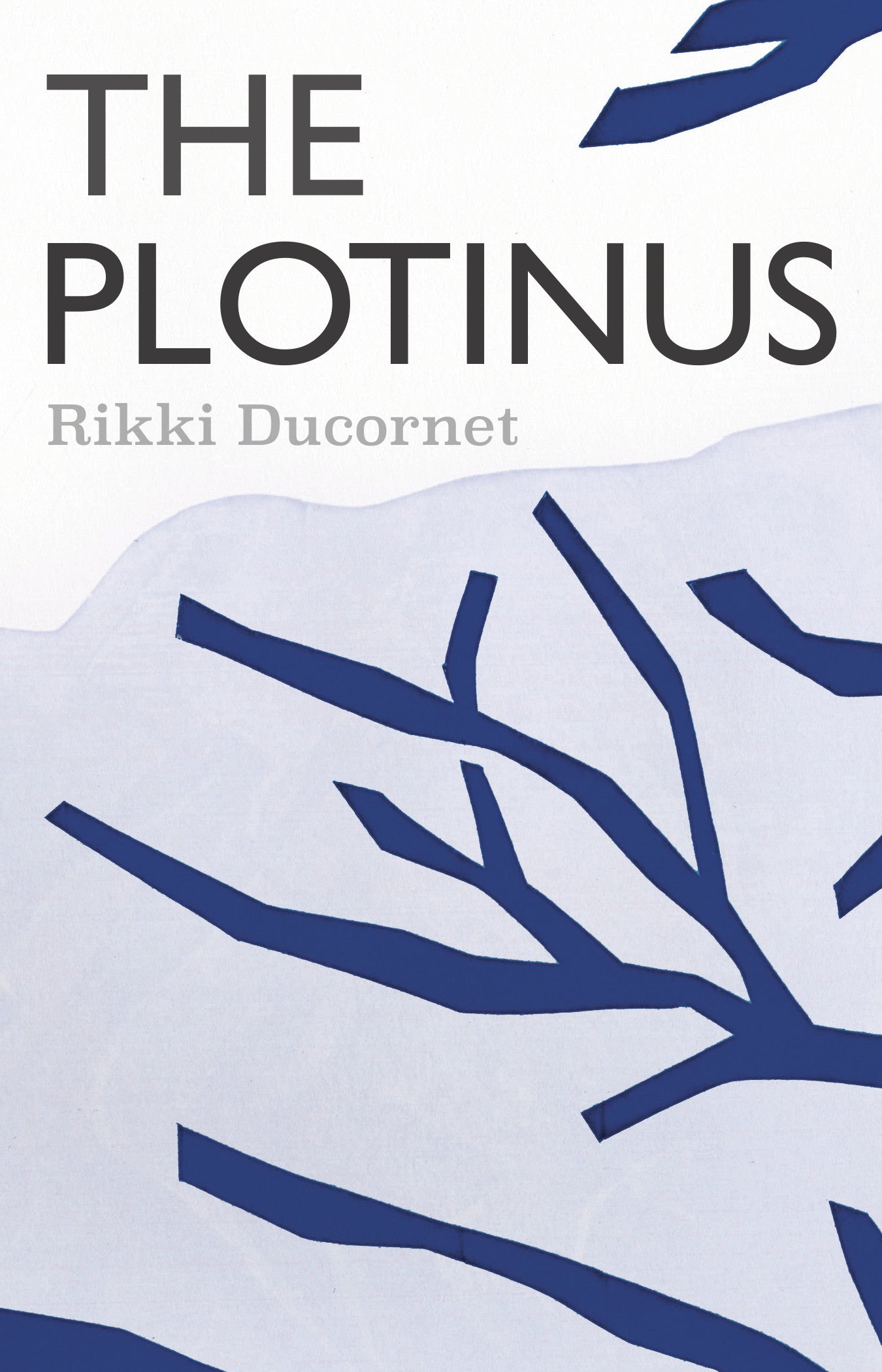 Plotinus - Ancient Greek Philosophy Books for Sale | Explore Neoplatonism & Metaphysics | Perfect for Students, Scholars & Philosophy Enthusiasts