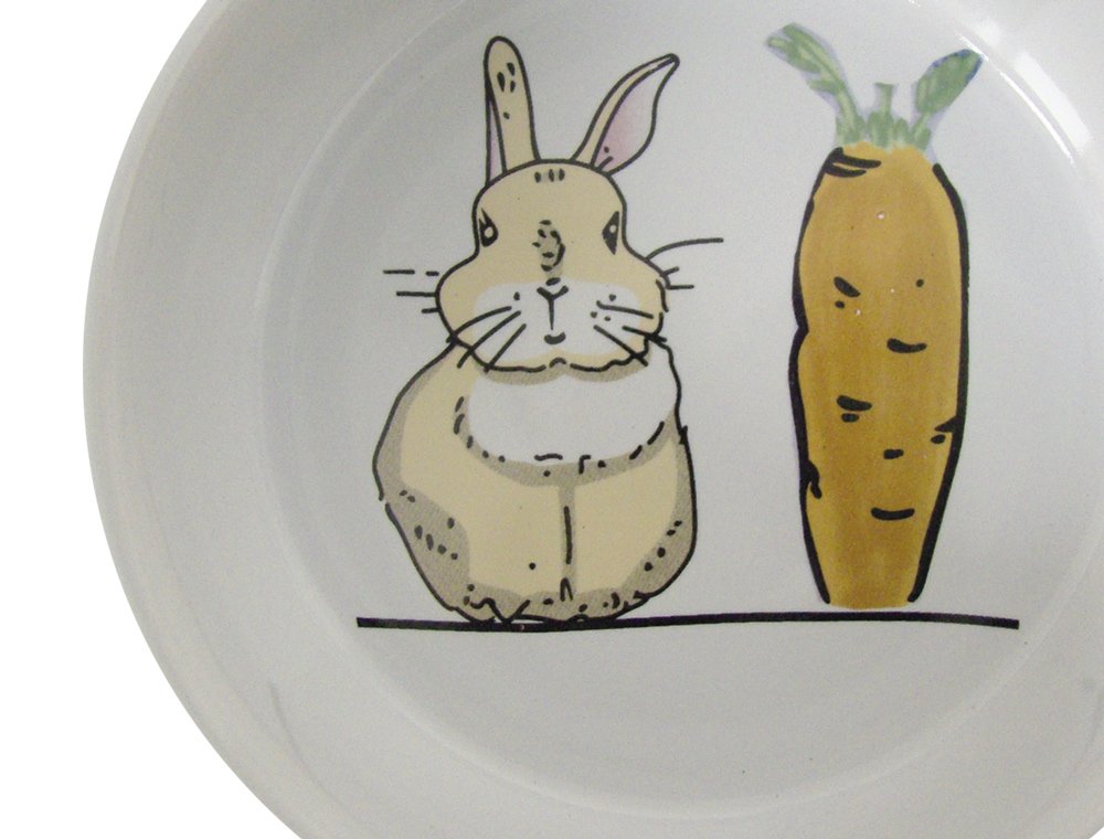 73753 White Ceramic Bowl with Carrot Design – Perfect for Soups, Salads & Home Decor