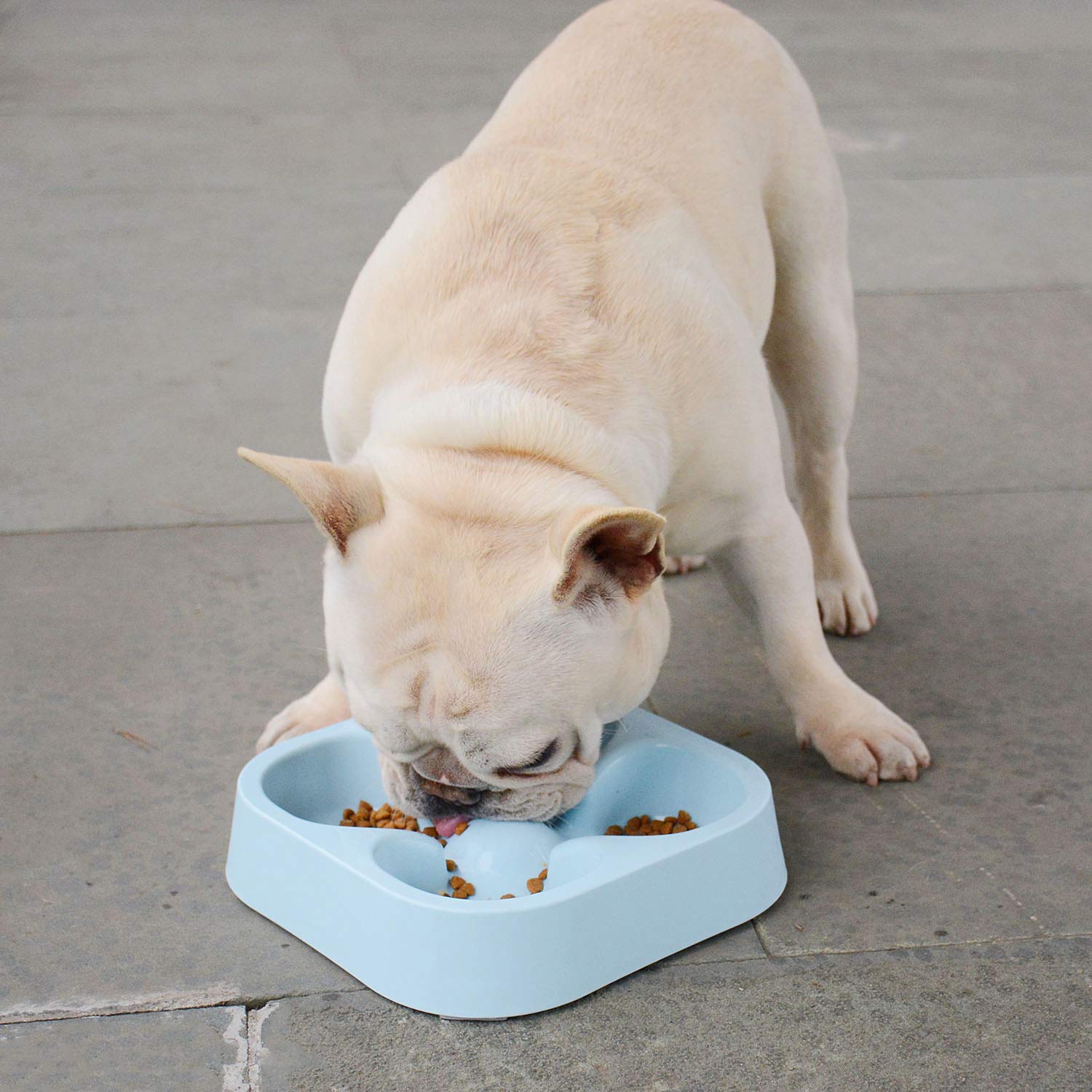 Healthy Slow Feeding Dog Bowl for French Bulldog & Small Dogs - Anti-Choking Pet Food & Water Dish with Four-Leaf Clover Design (Blue) - Perfect for Fast Eaters & Digestive Health - Great for Home, Travel & Vet Visits
