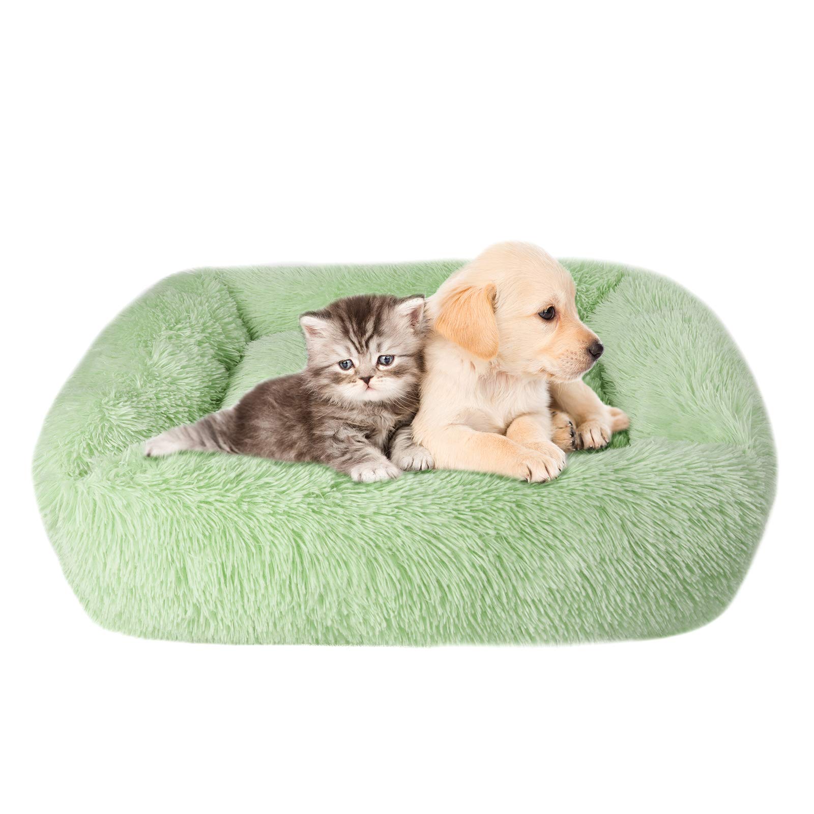 Lucky Monet Orthopedic Dog Bed for Medium Dogs - 26