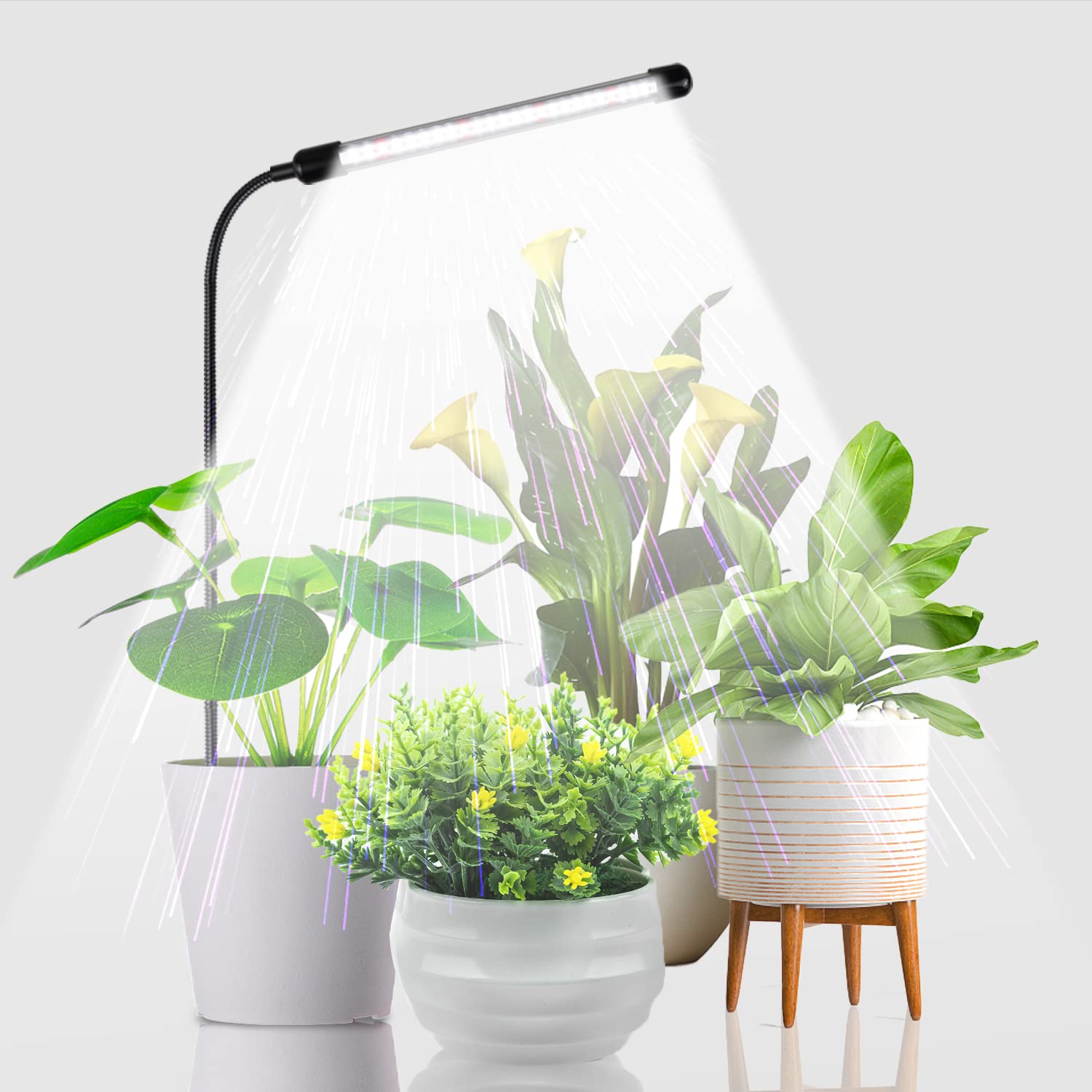 Juhefa 6000K Full Spectrum Grow Light for Indoor Plants - Adjustable Gooseneck Plant Lamp with Auto On/Off Timer & 5 Dimming Levels - Perfect for Seedlings, Succulents & Small Plants - Ideal for Home Gardening, Hydroponics & Indoor Herb Gardens