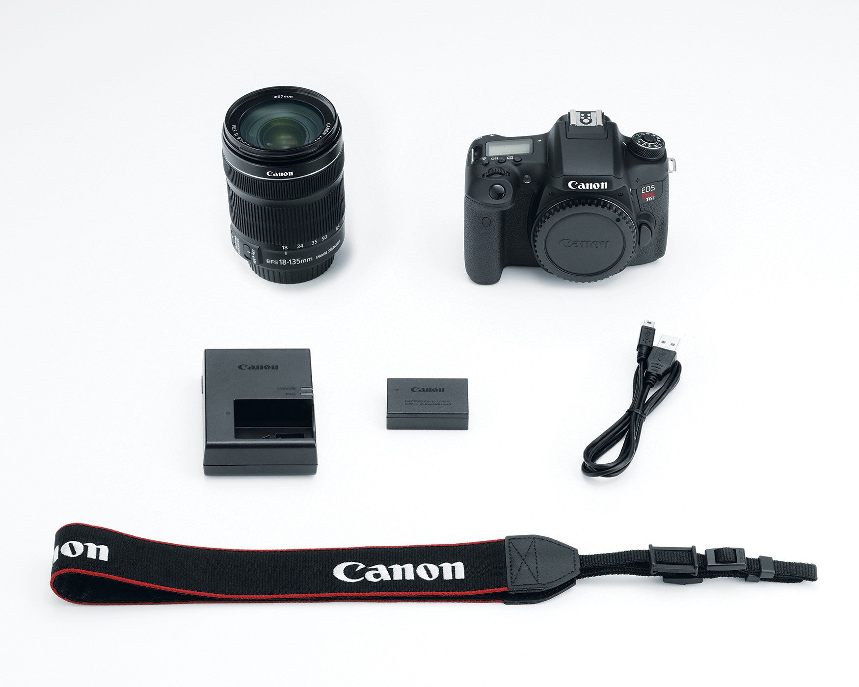 Canon EOS Rebel T6s DSLR Camera with 18-135mm STM Lens Kit - Professional Photography for Travel, Portraits & Vlogging