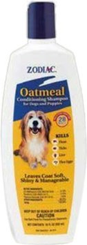 Natural Oatmeal Conditioning Shampoo for Dry & Itchy Scalp - Moisturizing & Soothing Hair Care for Men & Women - Perfect for Daily Use & Sensitive Skin