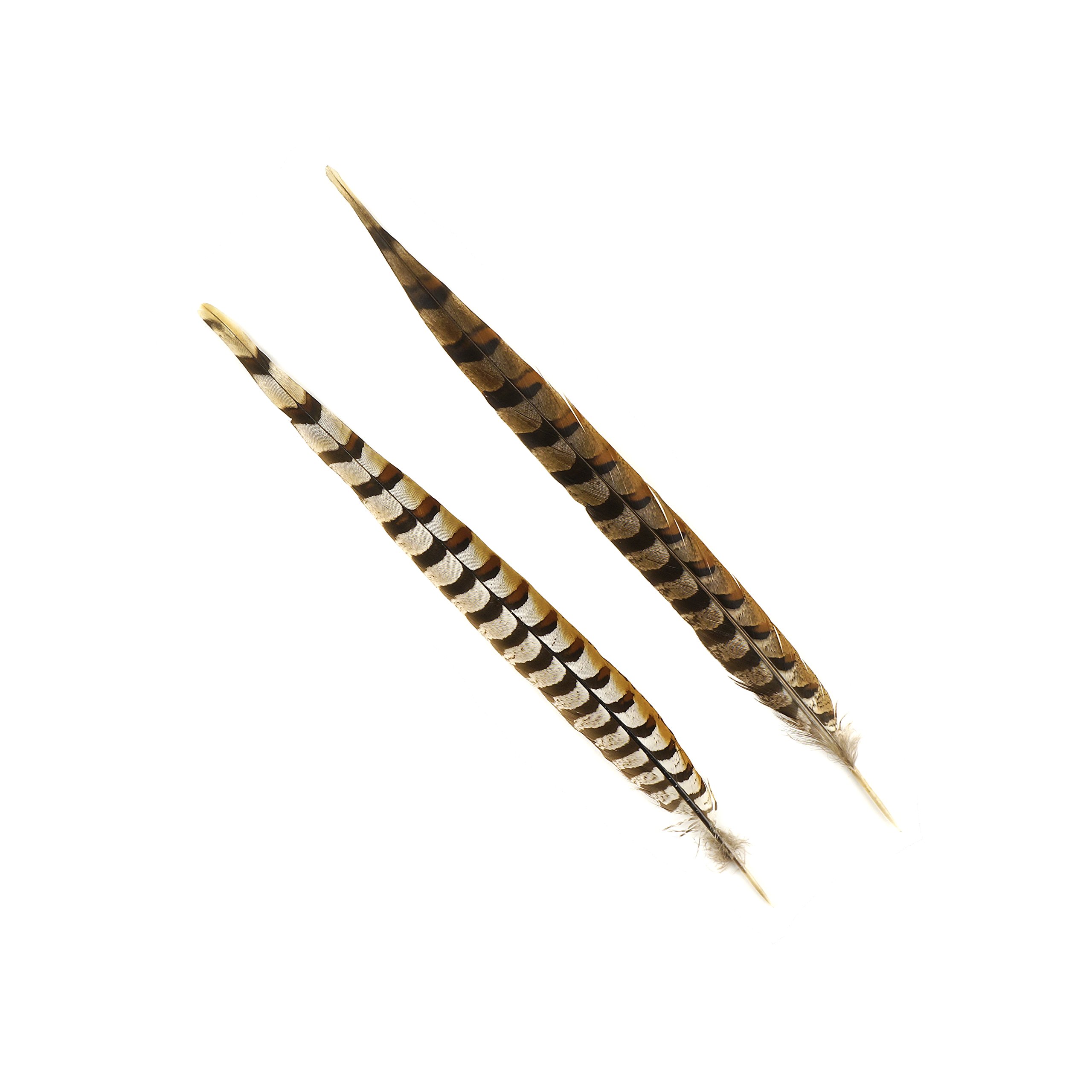 Natural Golden Brown Pheasant Tail Feathers - 16-20 Inch Craft Supplies for DIY Home Decor, Fly Tying, Costume Accessories (12 Pieces) - Perfect for Wedding Centerpieces, Bohemian Room Decor & Fishing Lures