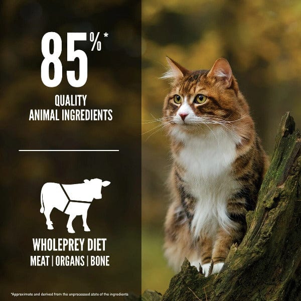 Orijen Regional Red Grain-Free Dry Cat Food - High Protein, Natural Ingredients for Adult Cats - Perfect for Indoor & Outdoor Cats