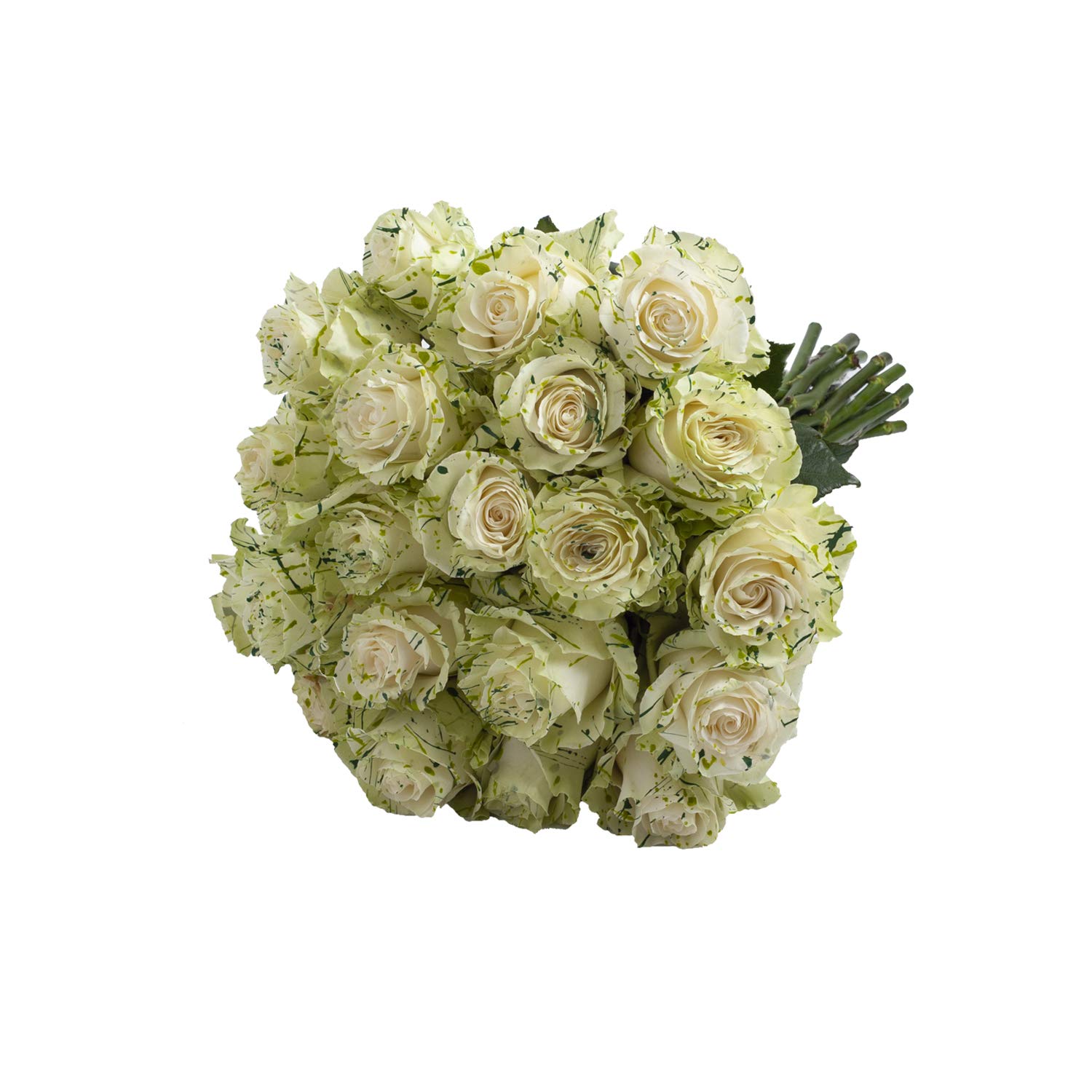 Bloomingmore Fresh Cut Clover Confetti Painted Roses - 125 Stems (20 inches) | Premium Wedding Bouquets, DIY Floral Arrangements, Party Centerpieces & Home Decor | Perfect for Weddings, Anniversaries, Housewarming Gifts & Teacher Appreciation