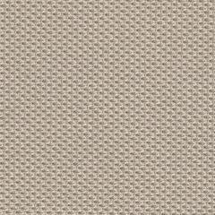 Malt Fabric