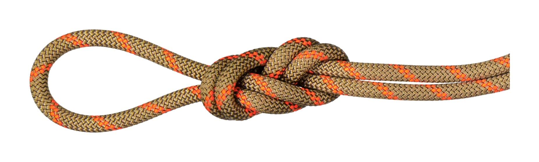 Mammut 8.0 Alpine Dry Climbing Rope - Boa/Safety Orange 30m | Waterproof & Durable Rock Climbing Equipment for Outdoor Adventures | Perfect for Mountaineering, Ice Climbing & Alpine Expeditions