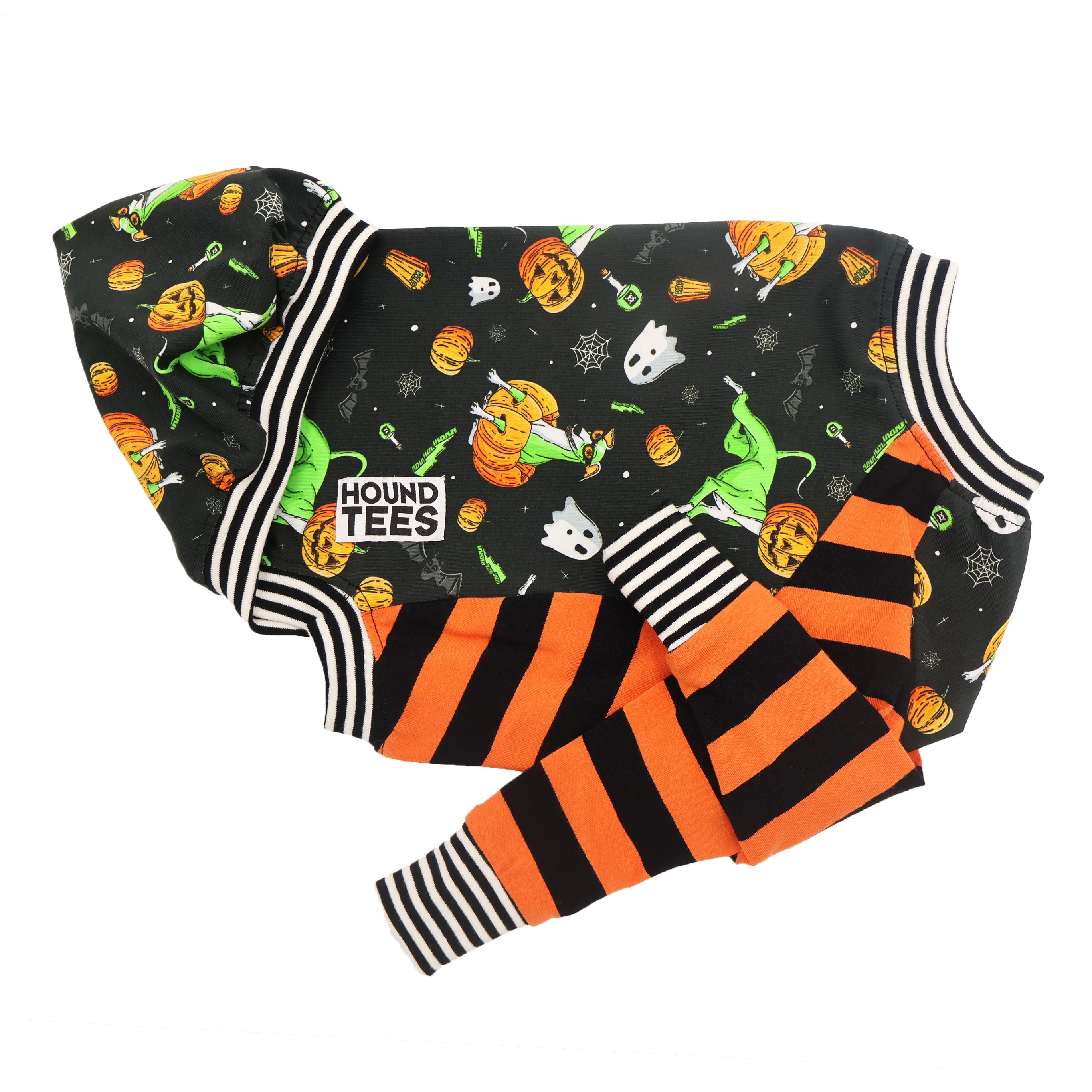 Pumpkin Head Whippet Dog Long Sleeve T-Shirt - Cute Hound Graphic Tee for Dog Lovers - Perfect for Halloween, Fall Outfits & Casual Wear