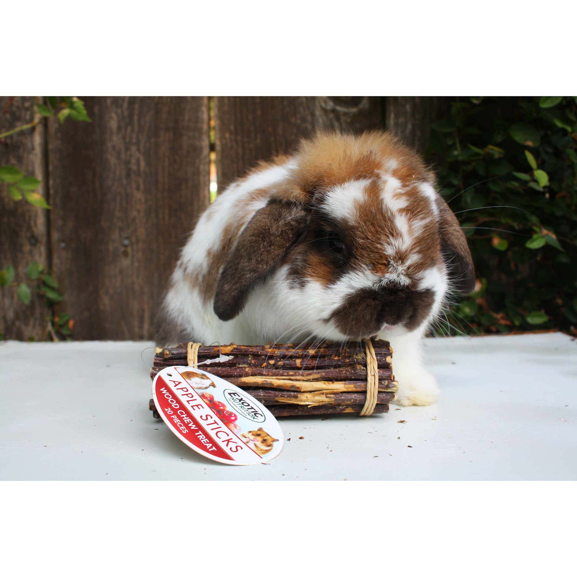 Premium Dog Chew Toy Assortment - Natural & Durable Chews for Puppies & Adult Dogs - Perfect for Teething, Training, and Playtime