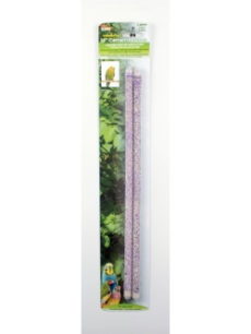 Natural Wood & Cement Bird Perch Stand - Twin Pack (36cm x 1cm) for Parrots, Cockatiels & Small Birds - Perfect for Cages, Aviaries & Pet Play Areas