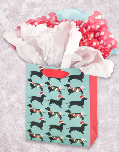 Dashing Dachshunds Gift Bags - Cute Dachshund Themed Party Favors & Gift Bags for Birthday, Wedding, Baby Shower & Special Occasions