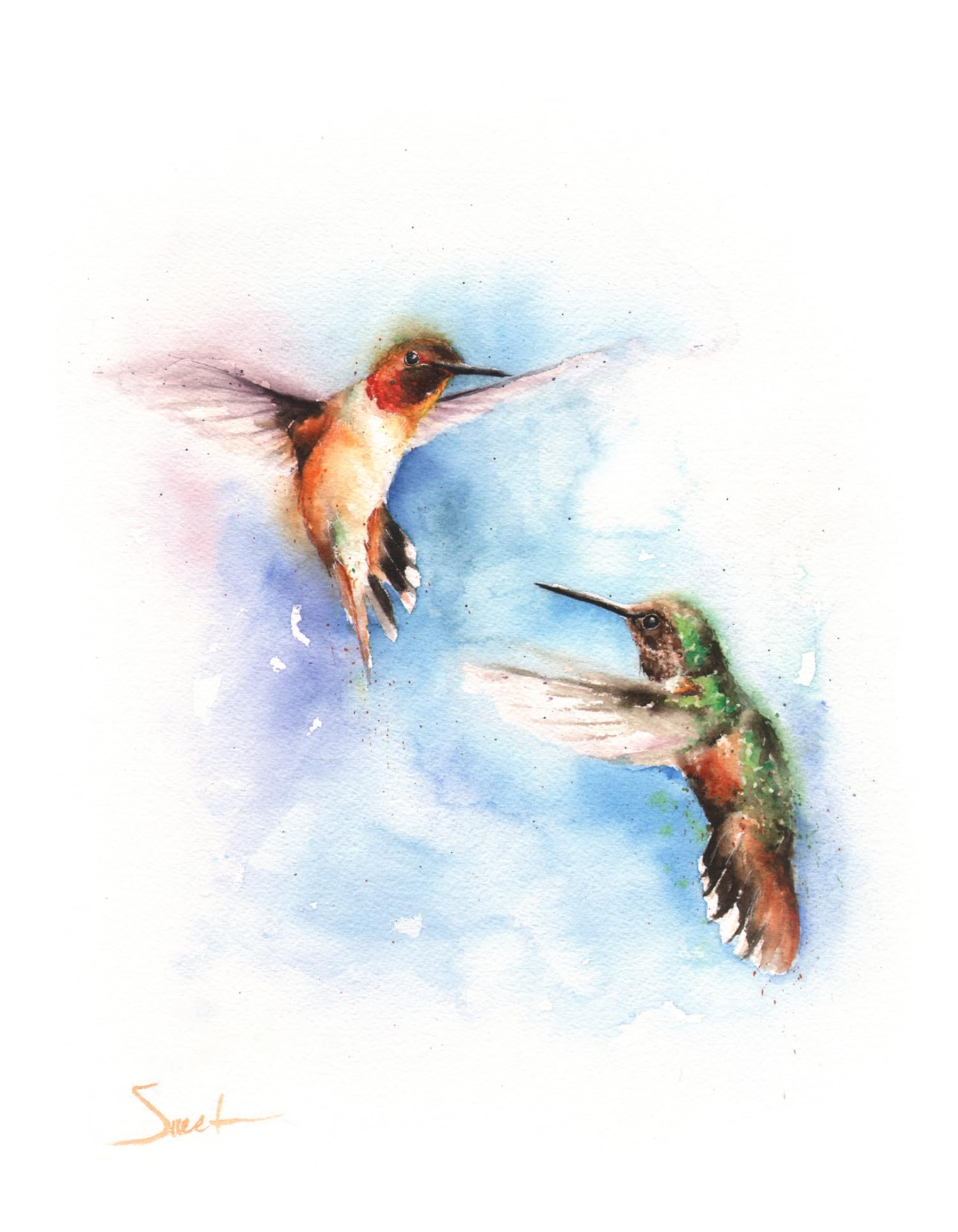 Two Rufous Hummingbirds Wall Art Print by Eric Sweet | Vibrant Orange Bird Painting for Home Decor, Living Room & Office | Nature-Inspired Marmalade Hummingbird Artwork