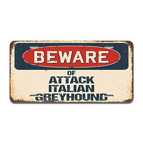 Beware of Attack Italian Greyhound