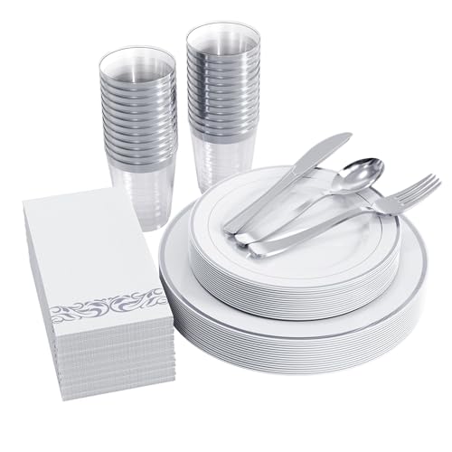 Silver Rim Dinnerware