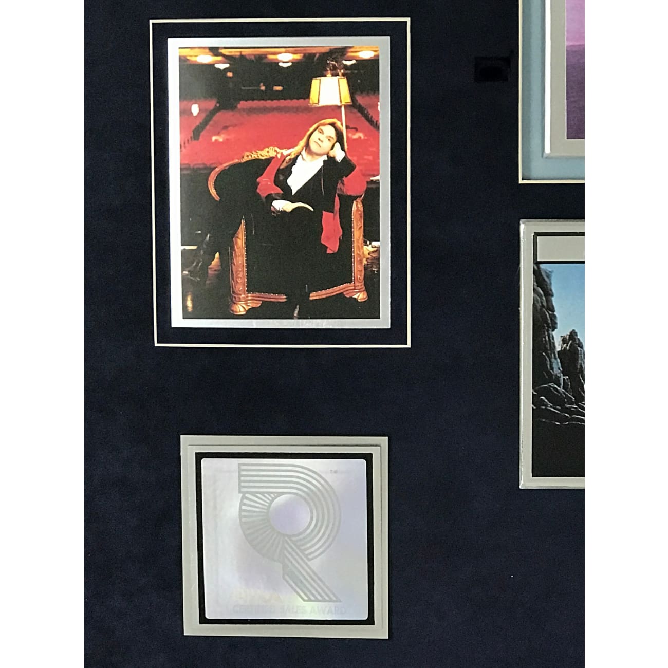 Meat Loaf - Bat Out Of Hell II: Back Into Hell - 4x Multi-Platinum Album Award (RIAA Certified) - Perfect for Music Collectors & Rock Memorabilia Displays