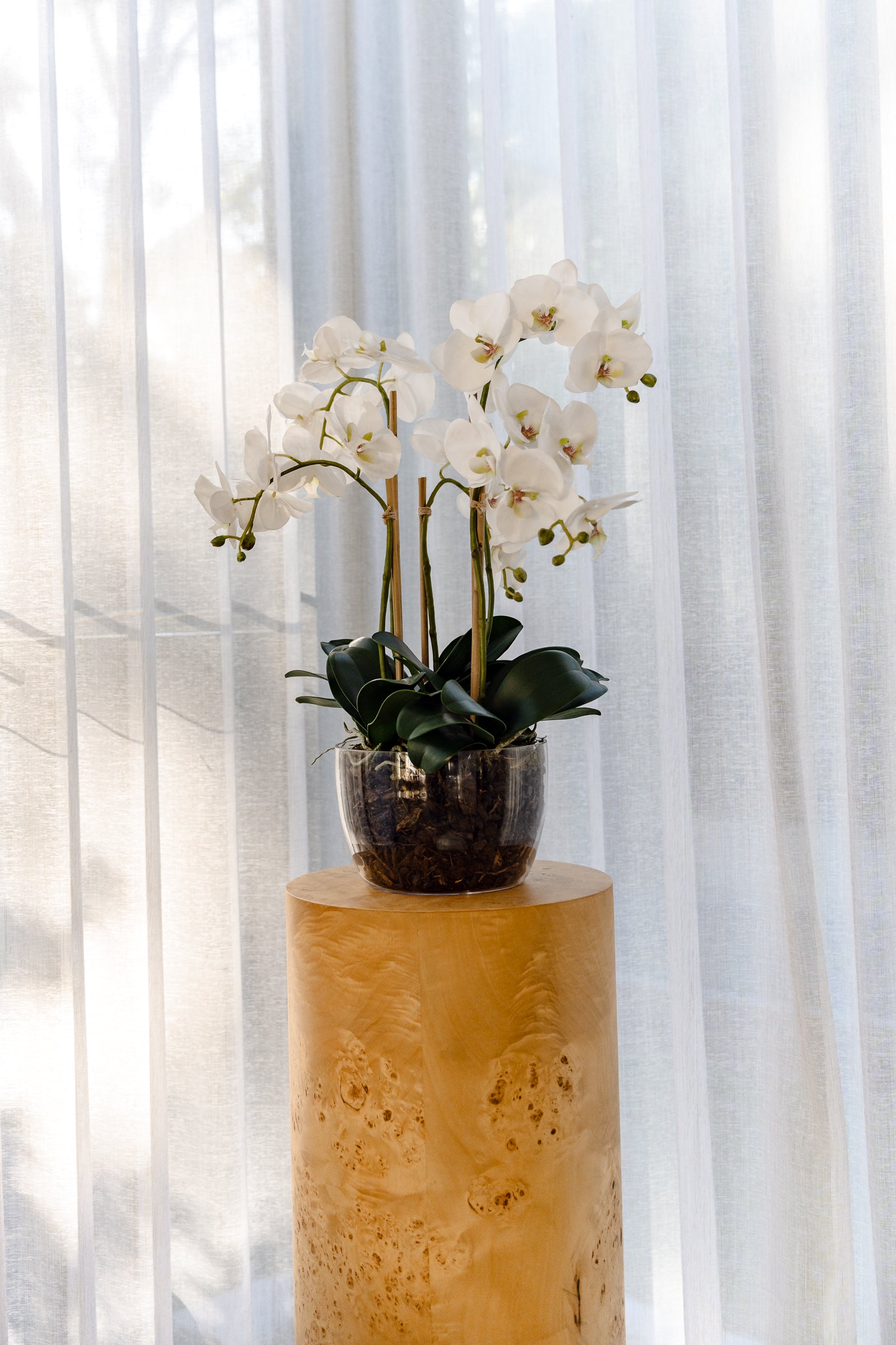 Artificial Phalaenopsis Orchid Plant in White Classic Bowl - 27 Inches Tall - Perfect for Home Decor, Office, Wedding Centerpieces & Table Arrangements