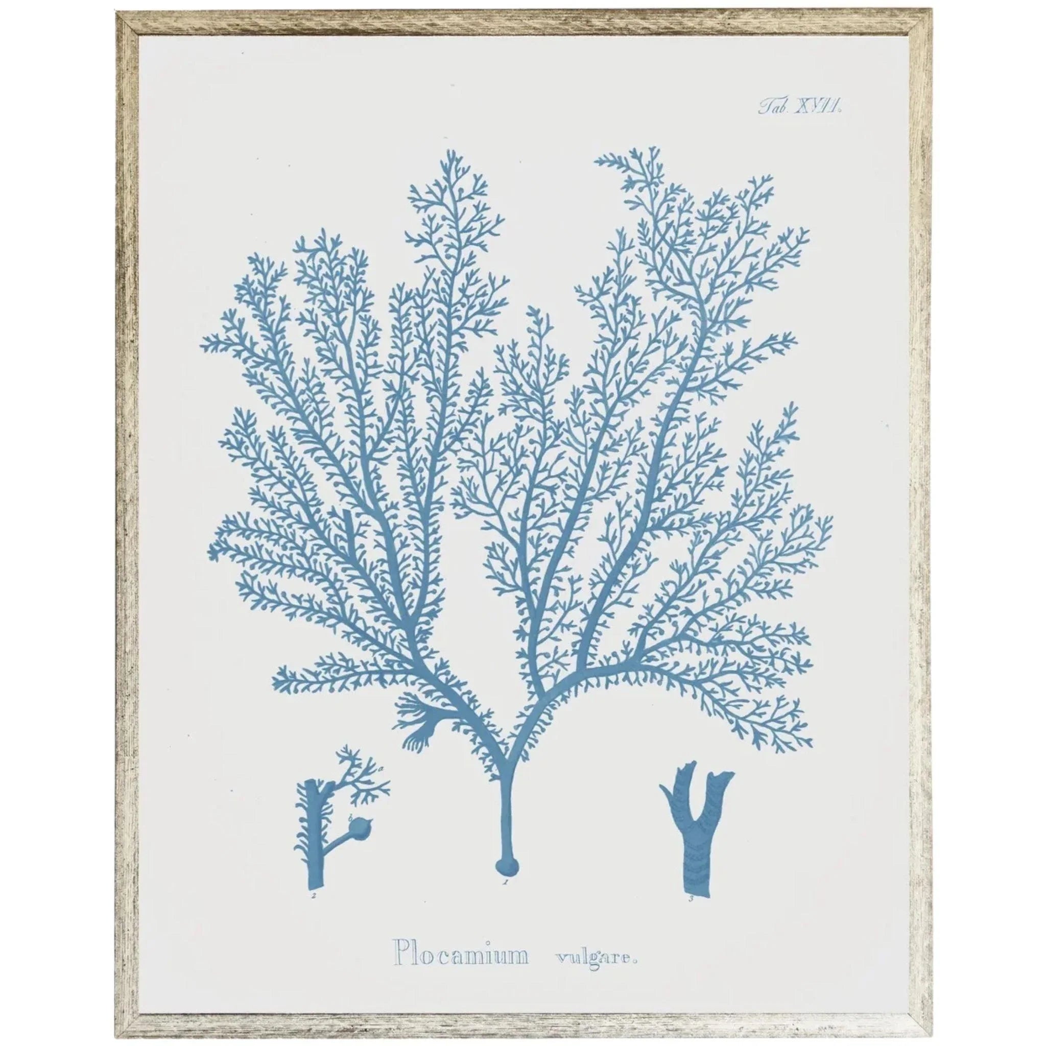 Blue Coral Framed Wall Art - Coastal Beach Decor for Living Room, Bedroom & Office - Ocean Themed Home Decoration