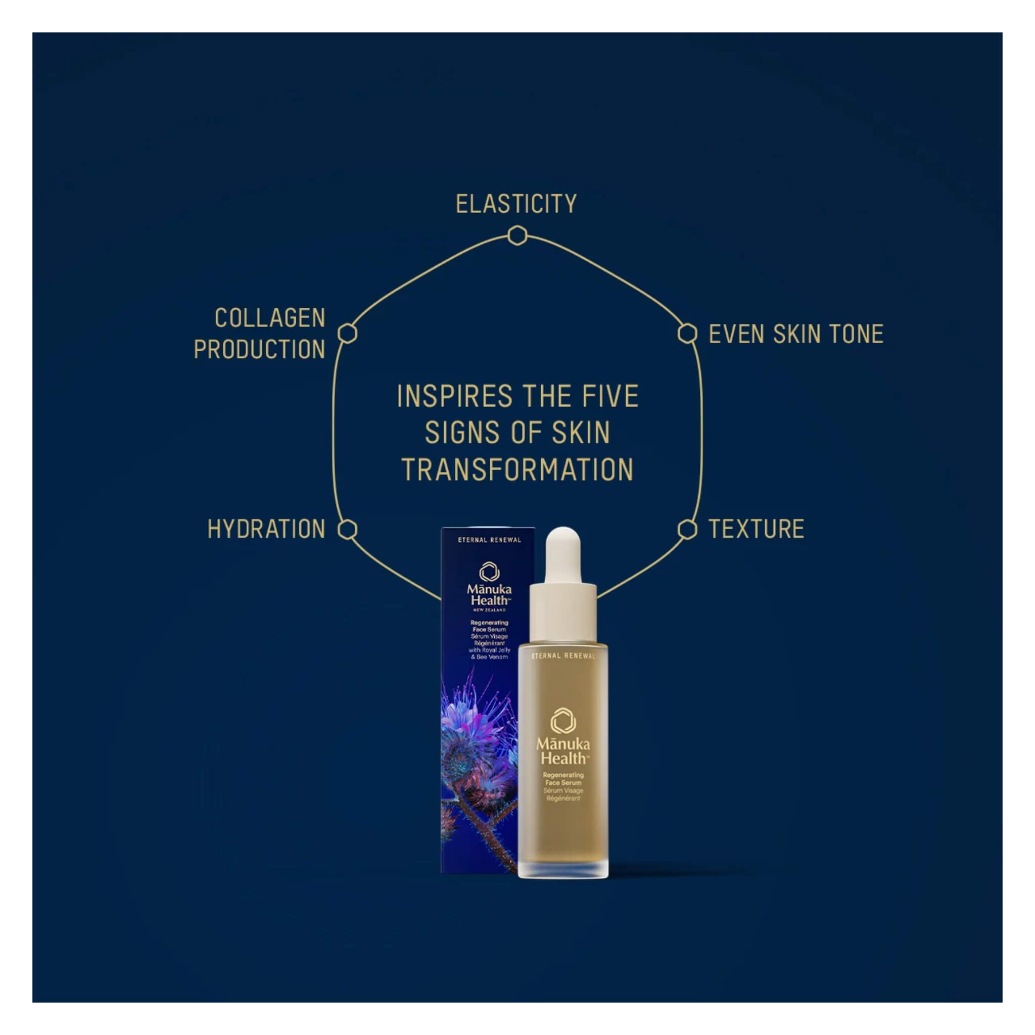 Eternal Renewal Regenerating Face Serum - Anti-Aging Skincare for Wrinkles & Fine Lines | Hydrating & Brightening Facial Treatment for Daily Use & Night Routine