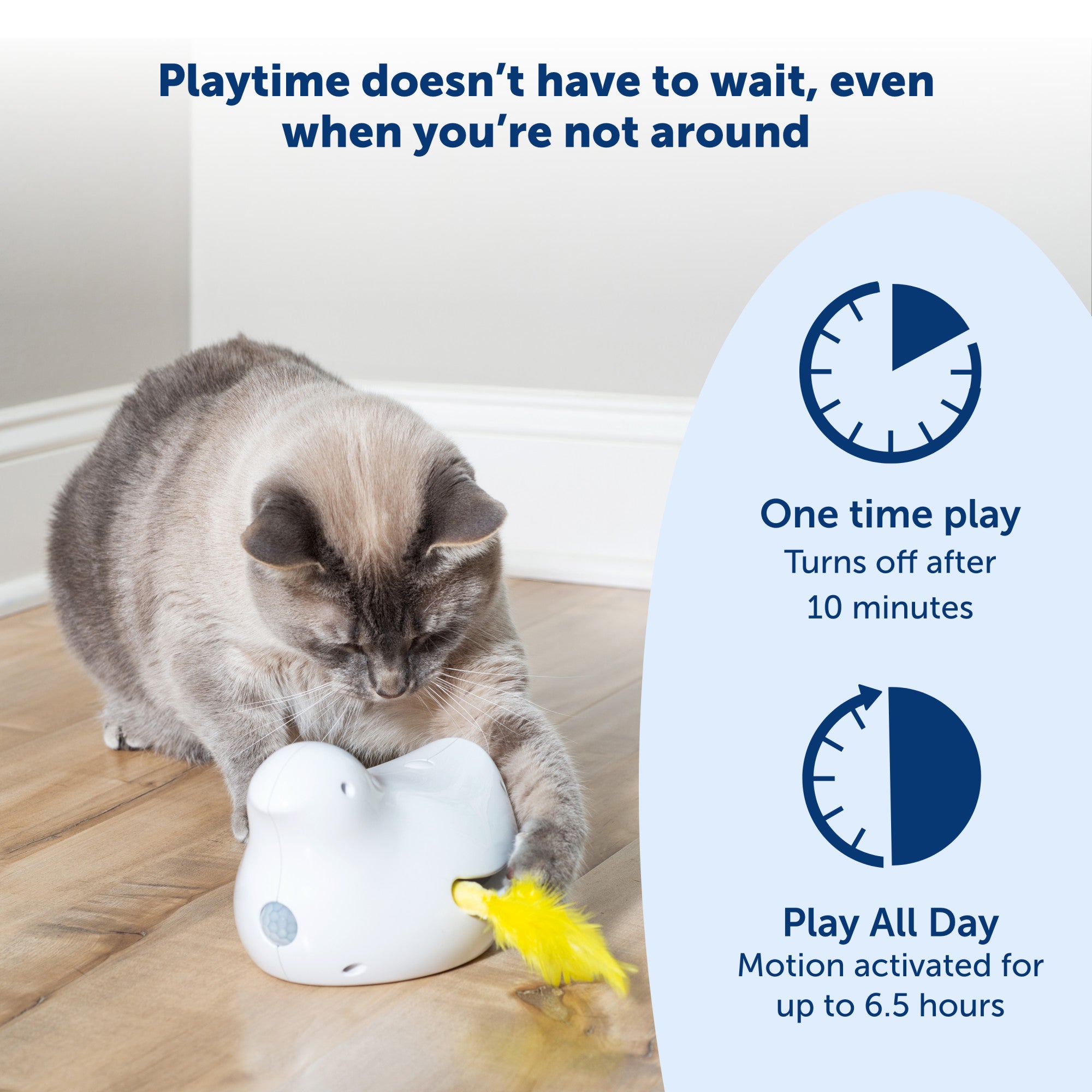 Interactive Peek a Bird™ Electronic Cat Toy - Fun & Engaging PetSafe® Cat Teaser for Playtime & Exercise - Perfect for Indoor Cats & Boredom Relief