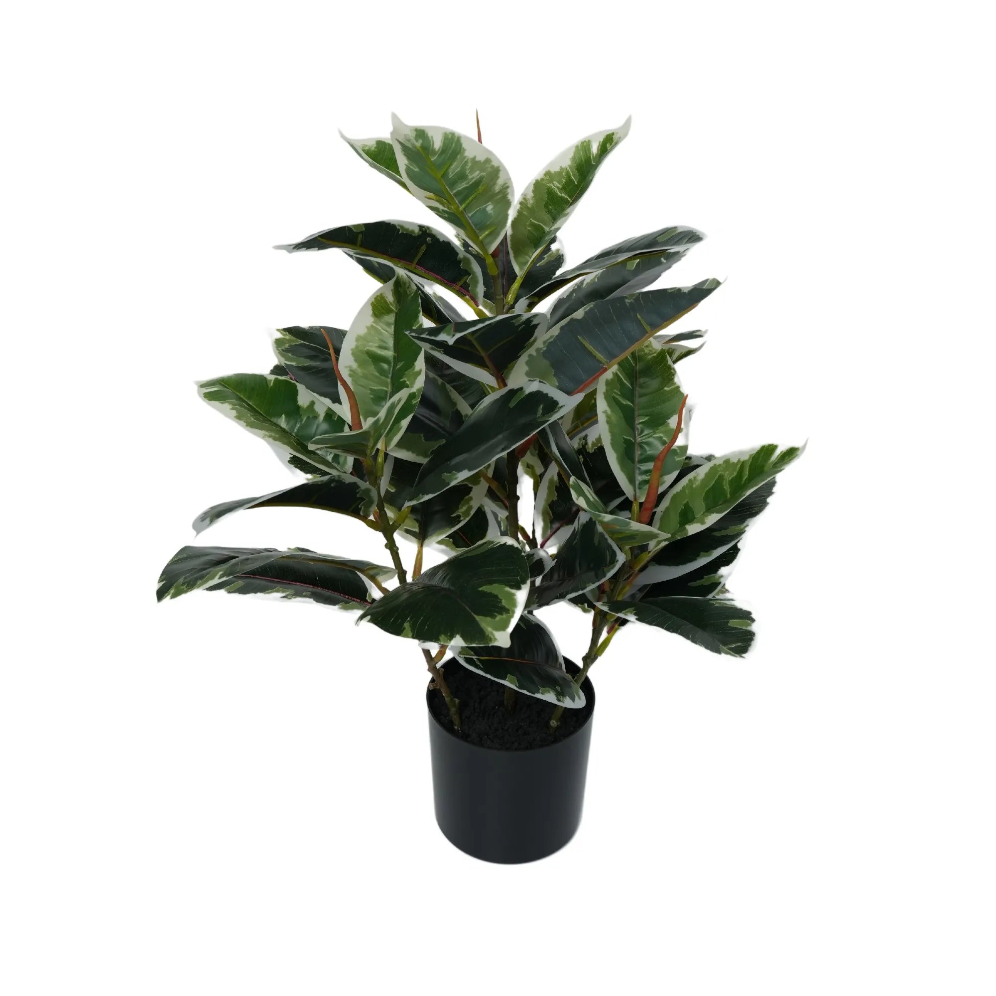 Artificial Bushy Dense Variegated Ficus Tree (Rubber Tree) 50cm - Indoor Decorative Plant for Home Office Living Room Decor - Perfect for Housewarming Gifts & Interior Design