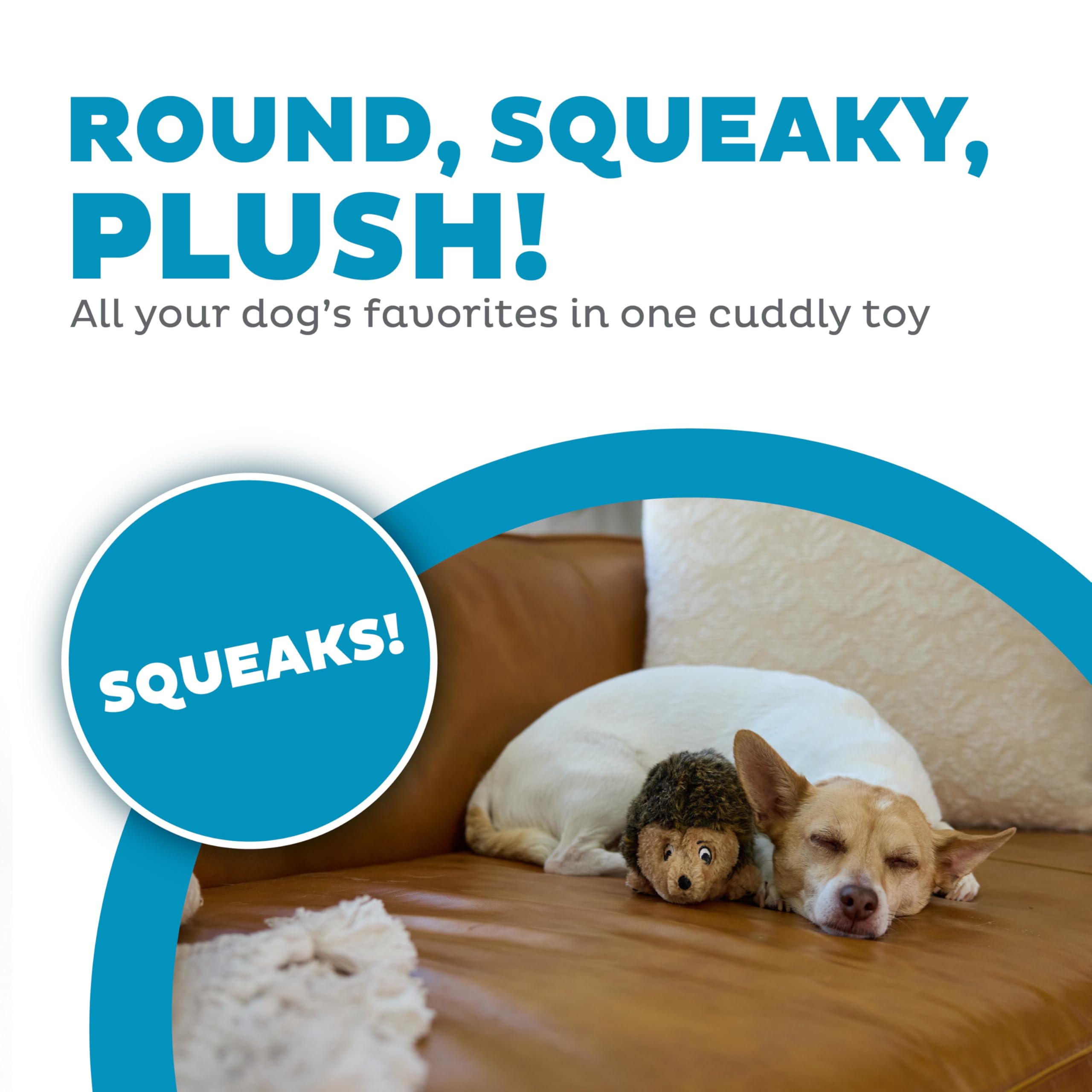 Outward Hound Hedgehogz Plush Dog Toy for Small Dogs - Soft & Durable Interactive Pet Toy for Chewing, Fetch & Cuddling - Perfect for Indoor Playtime & Outdoor Adventures