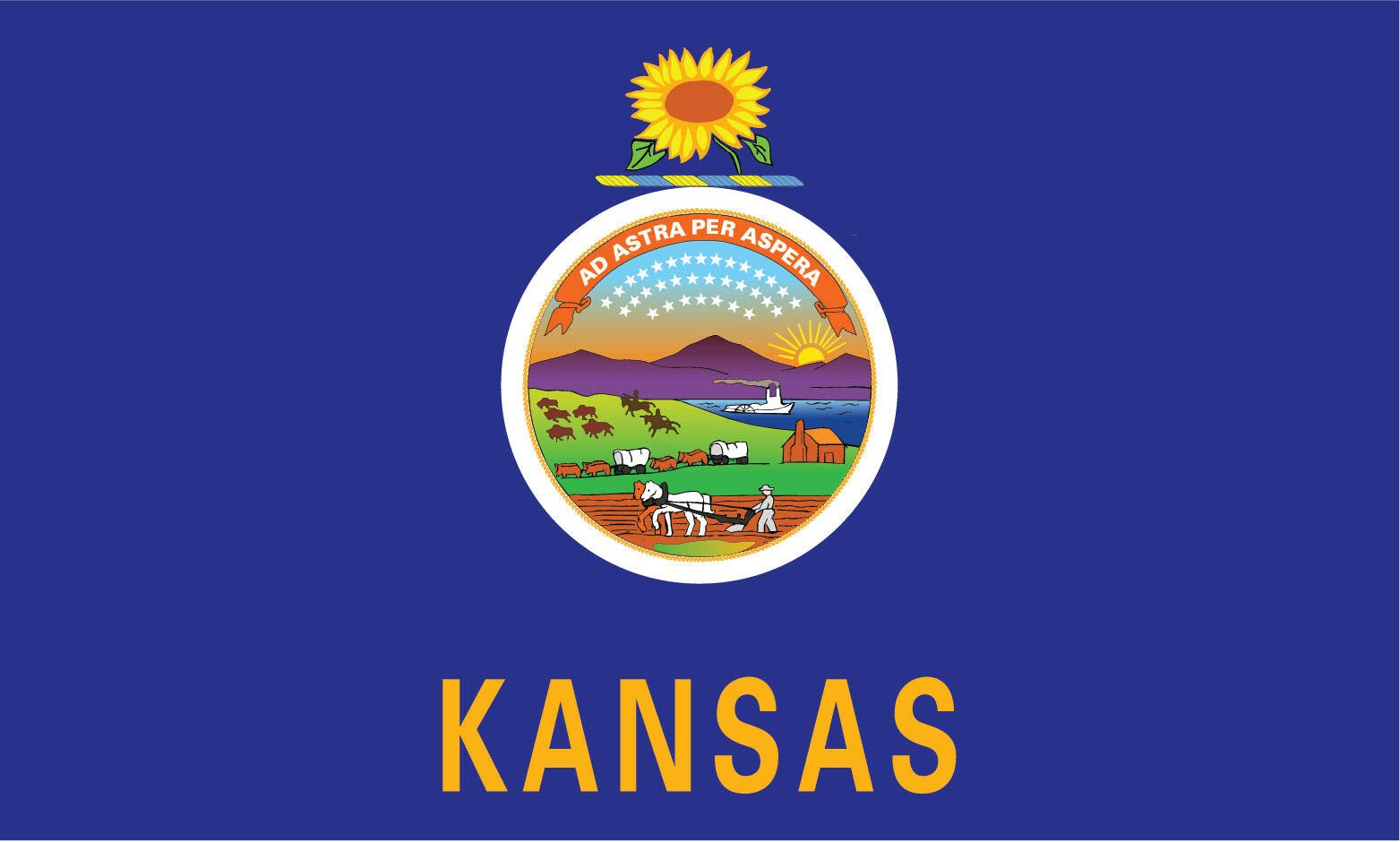 Kansas State Flag Double Sided Stainless Steel Keychain - Durable Key Ring Holder with Carabiner Clip for Keys, Backpacks & Travel Accessories | Perfect for Home, Office, Camping & Outdoor Adventures