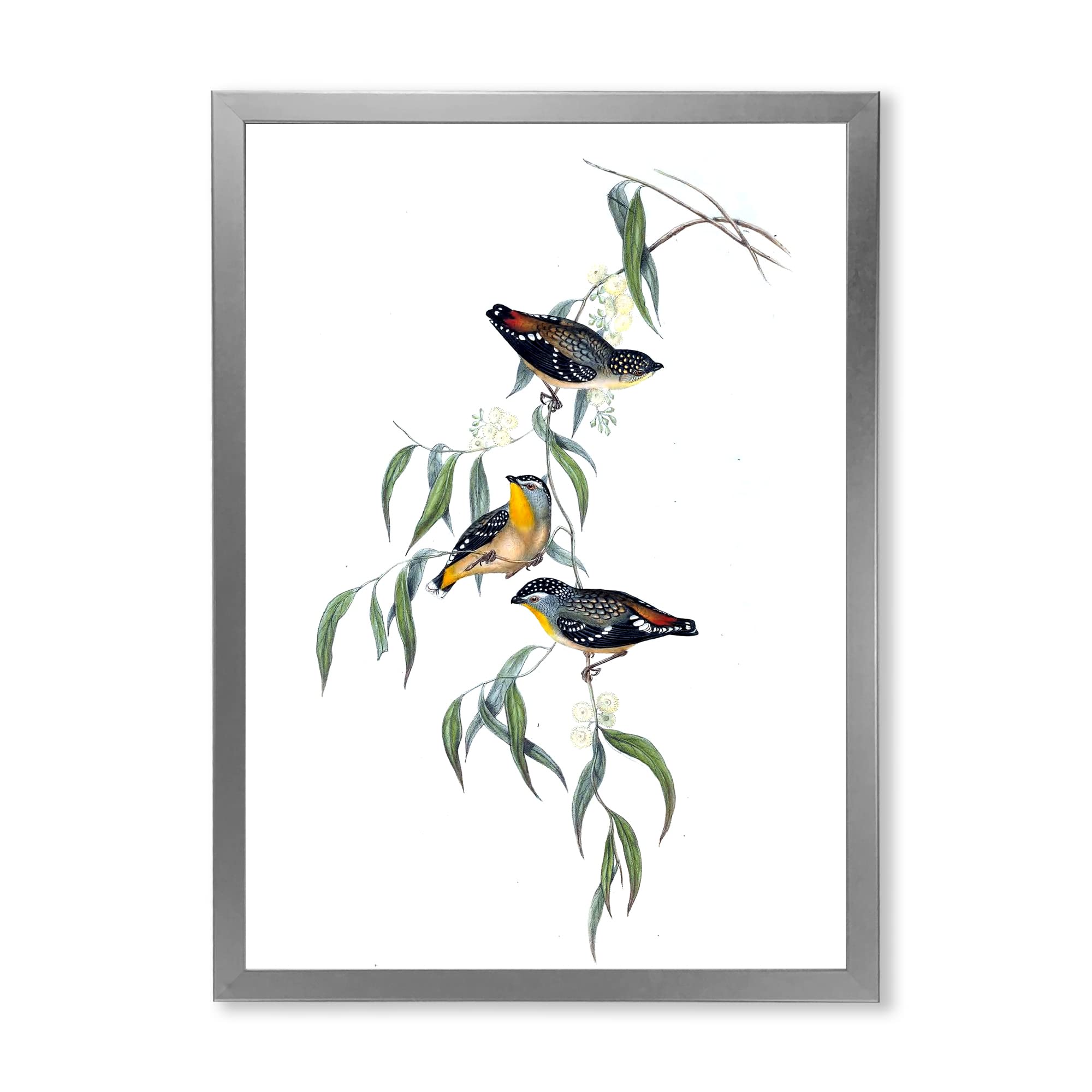 Vintage Bird Life III Traditional Framed Wall Art - Nature Inspired Home Decor for Living Room, Bedroom & Office