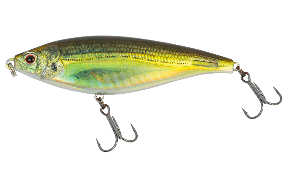 Olive Back Shad