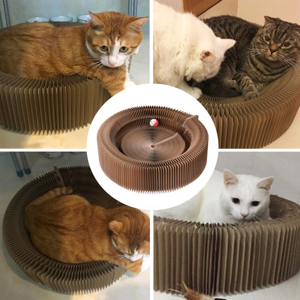 Oncpcare Creative Loop Cat Scratcher & Accordion Cat Bed - Interactive Scratching Pad & Lounge for Kitties - Durable Cat Toys for Resting, Playing & Stress Relief - Perfect for Small Spaces & Multi-Cat Homes