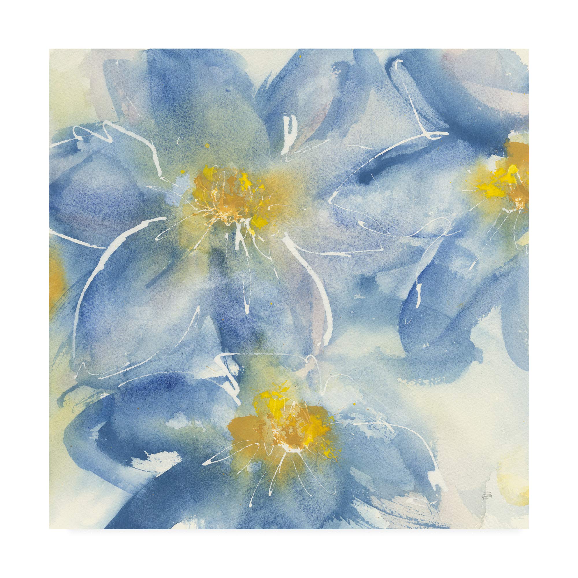 Trademark Fine Art Tinted Clematis I by Chris Paschke - 18x18 Inch Floral Canvas Wall Art - Perfect for Living Room, Bedroom & Office Decor