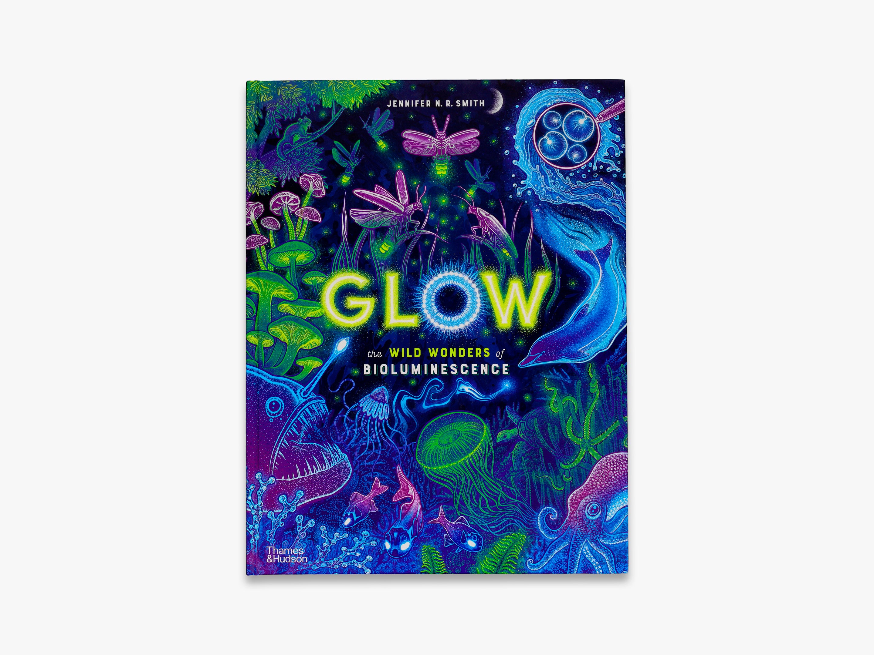 Glow (Wild Wonders) - Stunning Glow-in-the-Dark Decor for Kids' Rooms, Parties & Nighttime Adventures