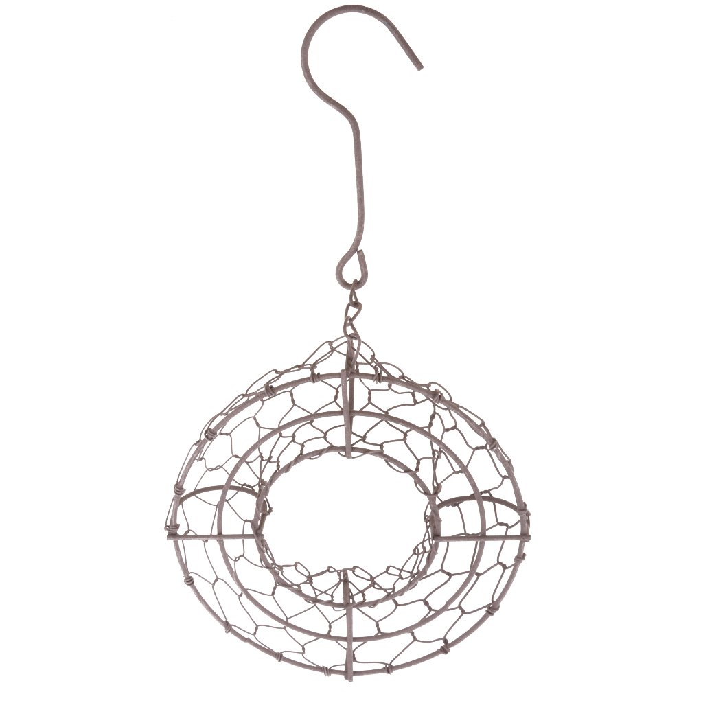 Vintage Rustic Iron Ring Frame Wire Wreath - 21cm Hanging Planter for Succulents, Air Plants & Flowers | Perfect for Home Decor, Garden, Wedding & DIY Crafts