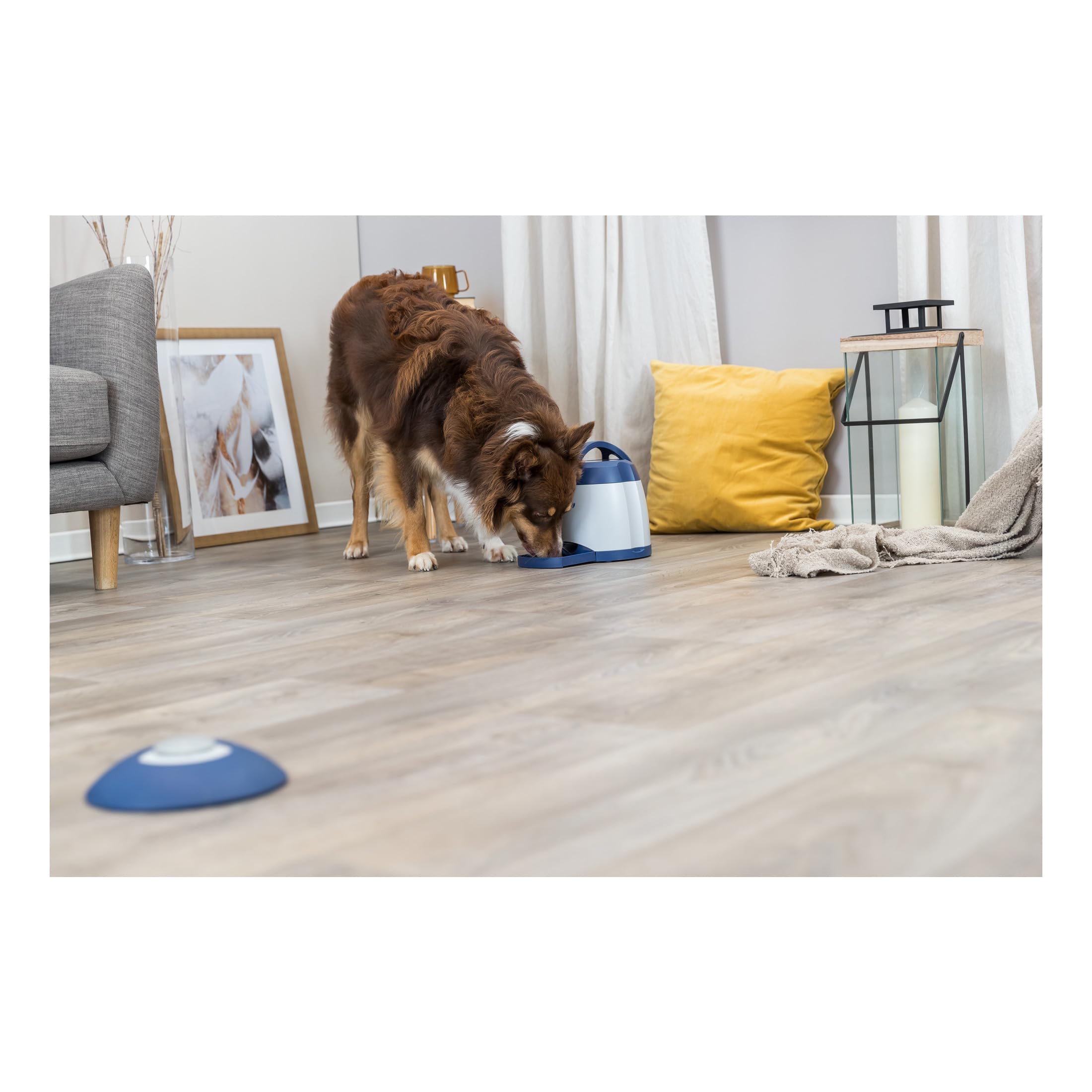 TRIXIE Memory Trainer 3.0 Dog Puzzle Toy - Advanced Level 3 Interactive Strategy Game for Dogs, Mental Stimulation & Treat Dispenser Toy for Small Medium Large Breeds - Perfect for Indoor Play, Boredom Relief & Training Sessions