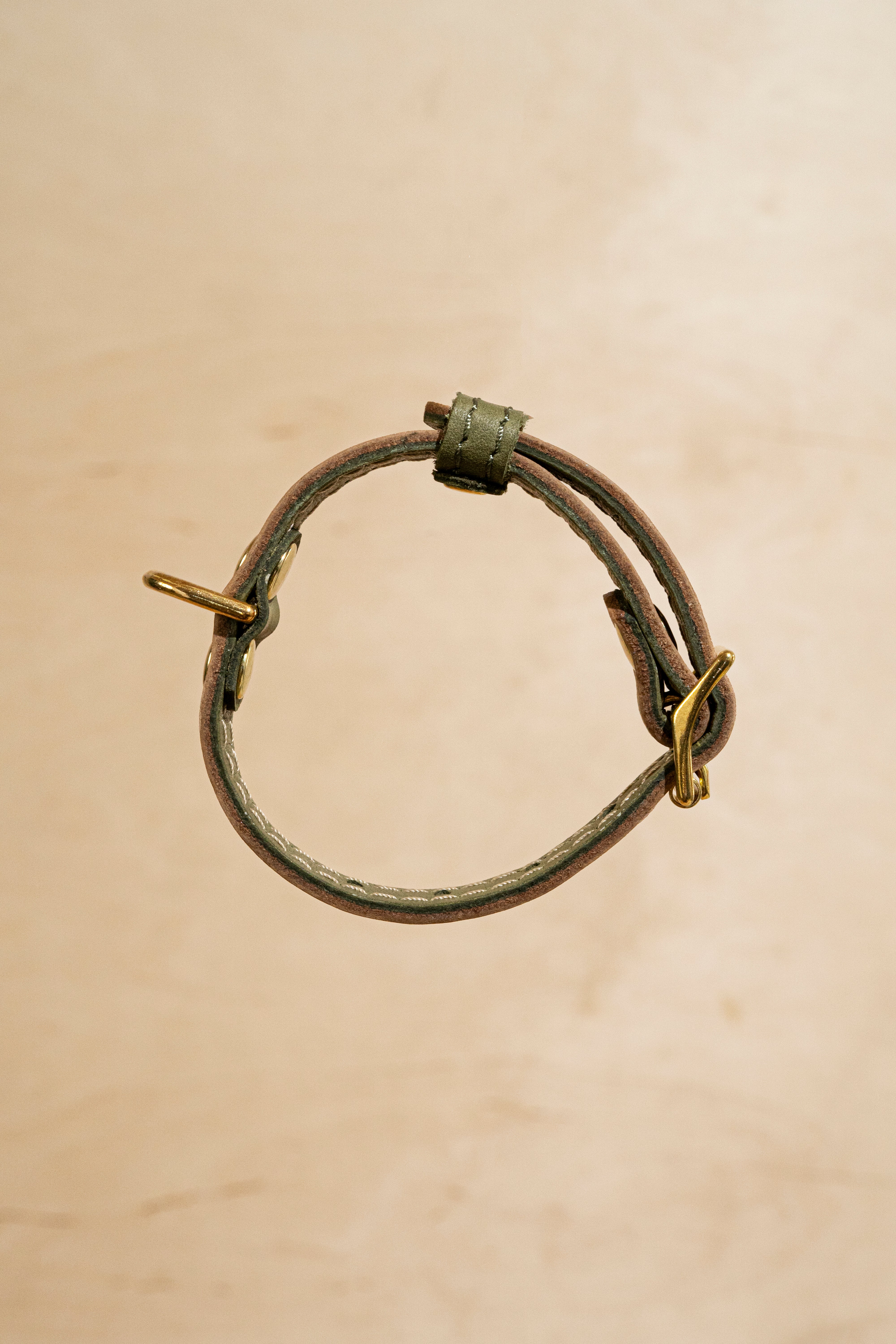 Stylish Green and Beige Collar Pony Walkony for Dogs - Perfect for Walking, Training & Outdoor Adventures