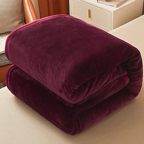 Premium Double-Sided Fluffy Fleece Blanket - Ultra Soft & Warm Cozy Bed Blanket for All Seasons | Lightweight Plush Throw for Sofa, Travel & Home Use | 150x200cm (59x79 inches) - Gray