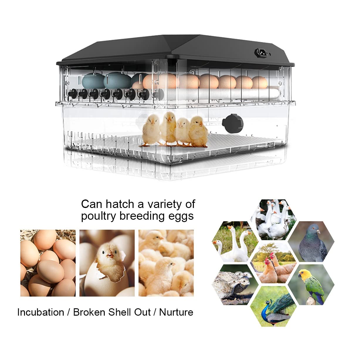 96 Egg Incubator Automatic Digital Poultry Hatcher with Egg Candler & Auto Turner - 96 Eggs Capacity for Chicken, Duck, Quail Eggs - Perfect for Home Farming, Poultry Breeding & Classroom Education