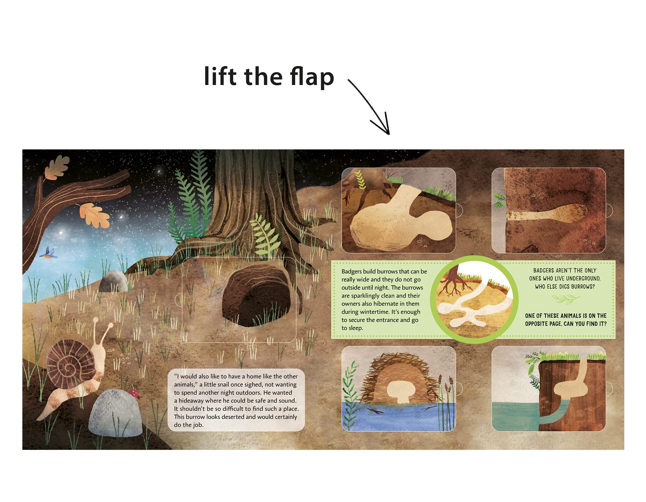 Whose Home Is It? - Nature Stories for Kids | Educational Wildlife Book for Children | Perfect for Bedtime Reading & Classroom Learning