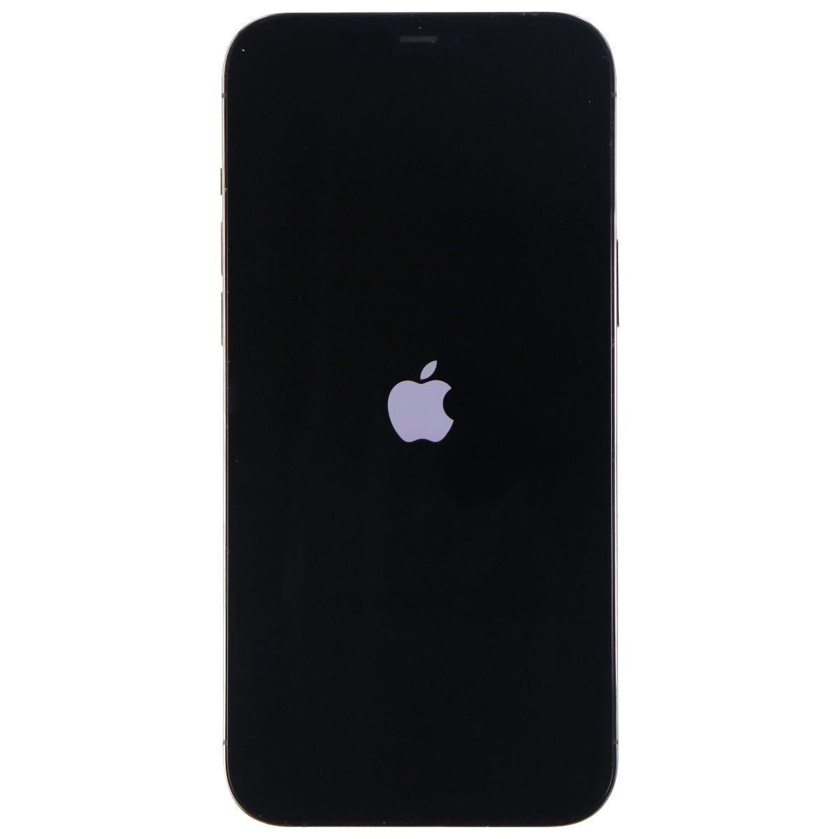 Apple iPhone 12 Pro Max (6.7 inch) 256GB Graphite Unlocked Smartphone (A2411) - GSM/CDMA Compatible for Travel, Business & Photography