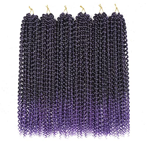 #1B/Purple