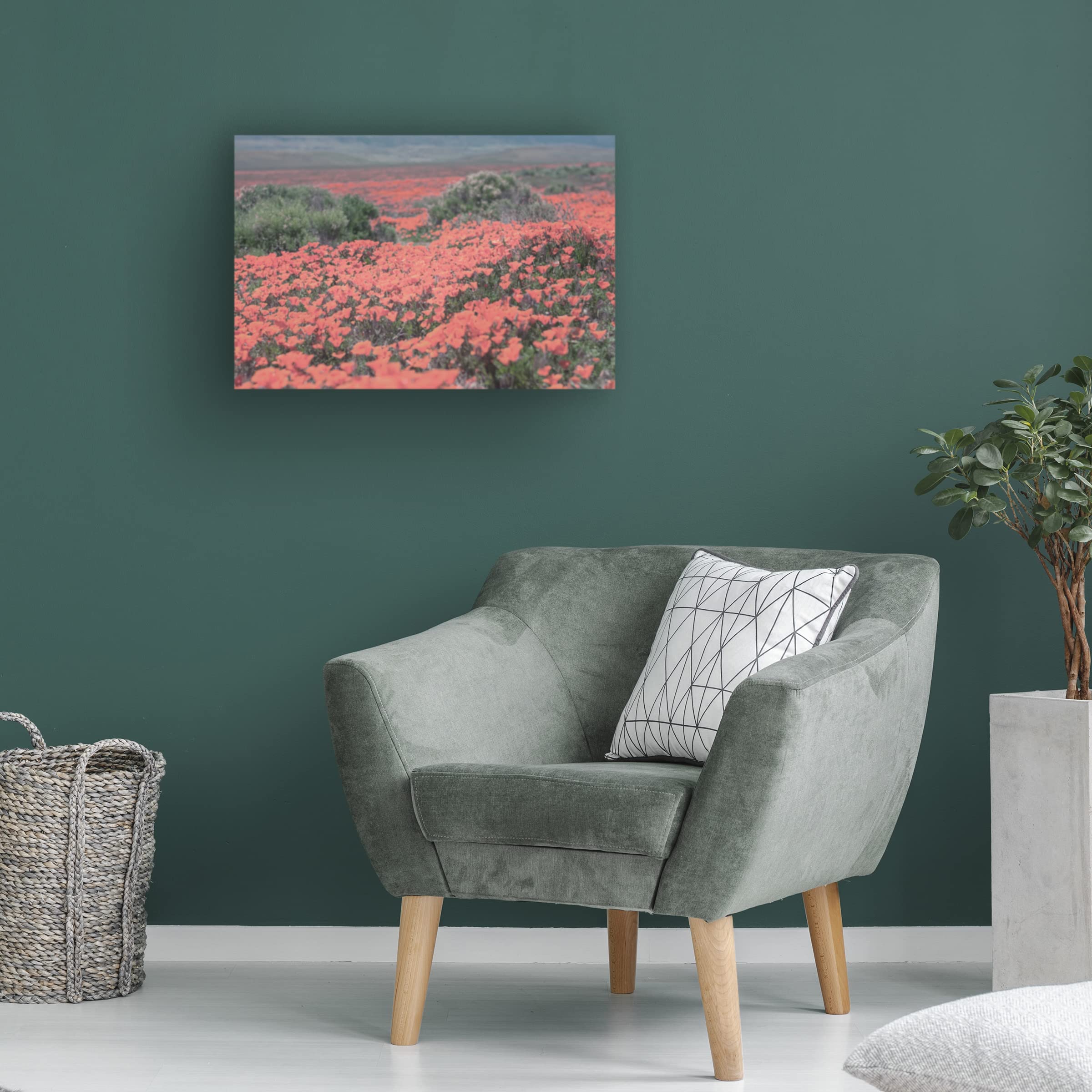 Trademark Fine Art 'California Blooms II' Canvas Wall Art by Elizabeth Urquhart - Floral Painting for Living Room, Bedroom & Office Decor