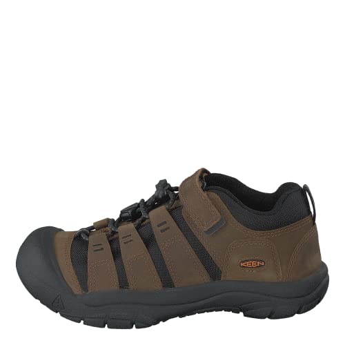 Bison/Black