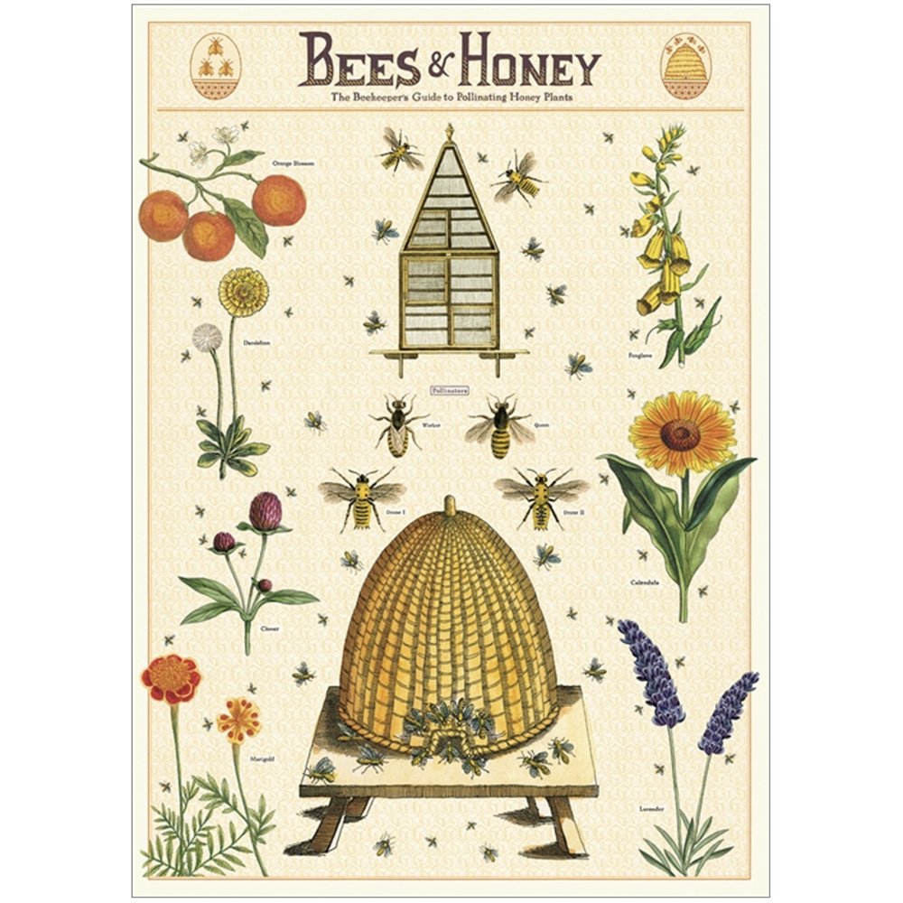 Organic Beeswax Food Wraps - Eco-Friendly Reusable Food Storage for Freshness | Perfect for Sandwiches, Fruits & Leftovers