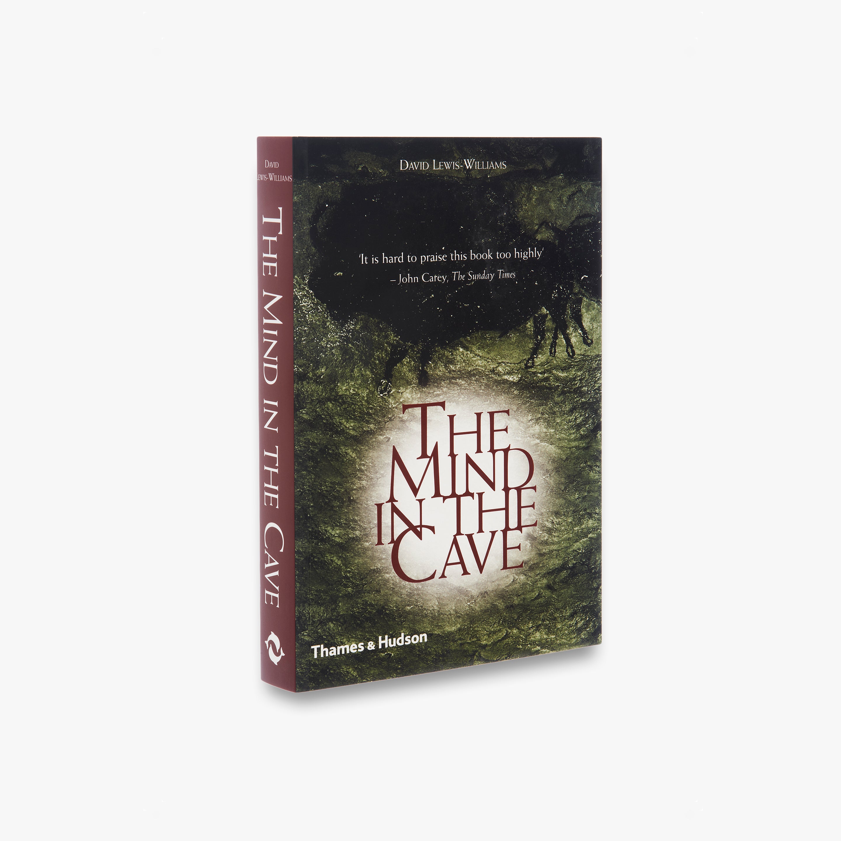 The Mind in the Cave: Consciousness & Origins of Art - Prehistoric Cave Paintings Book for Anthropology & Archaeology Enthusiasts | Perfect for Students, Researchers & History Lovers