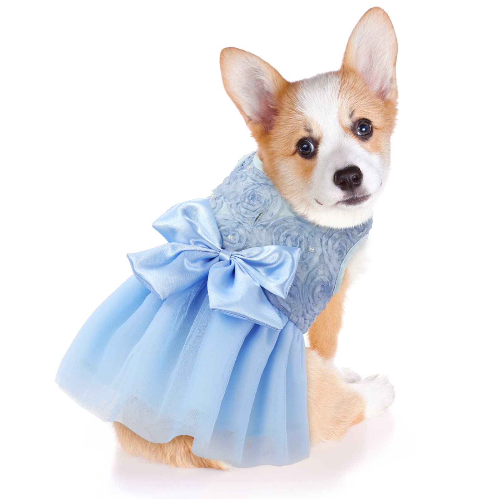 ASENKU Dog Dress - Pet Wedding Dress, Princess Lace Puppy Birthday Party Outfit, Formal Apparel for Small & Medium Dogs & Cats (XX-Small, Blue) - Perfect for Weddings, Birthday Parties & Special Occasions