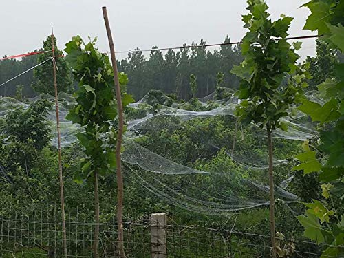 Premium Anti-Aging Orchard & Vegetable Garden Hail Protection Netting - 6.5x100ft Durable UV-Resistant Mesh - Perfect for Fruit Trees, Berry Bushes & Delicate Crops