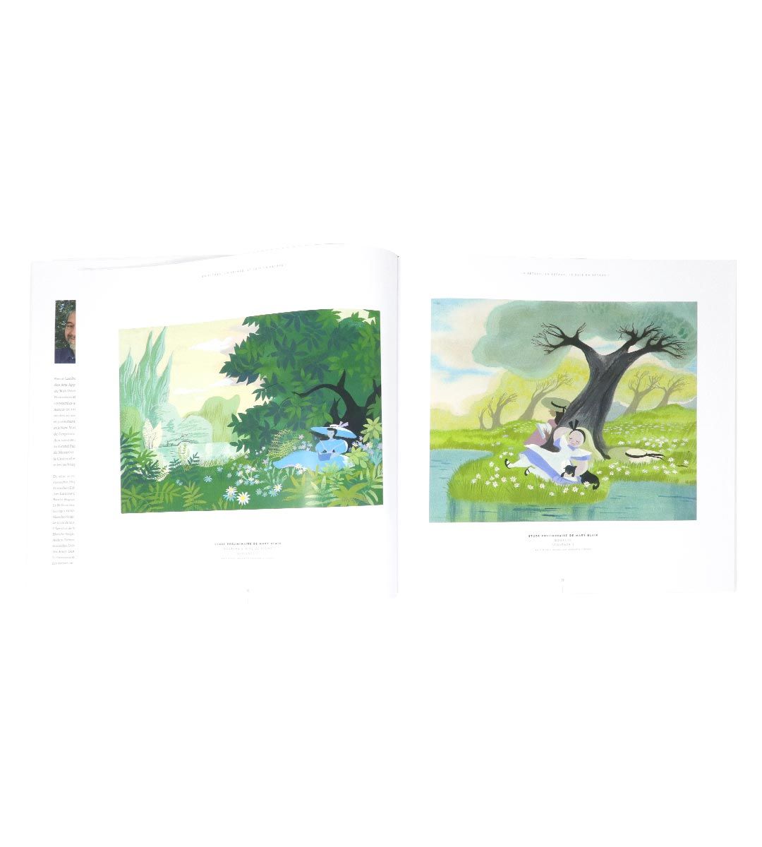 Alice in Wonderland by Pierre Lambert - Classic Fairy Tale Book for Kids & Adults - Perfect for Reading, Gifts & Collectibles