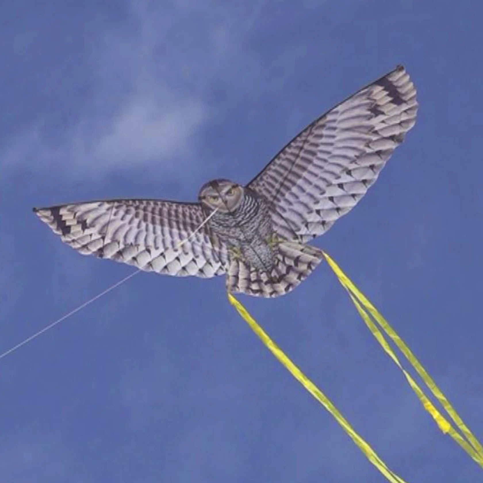 67 Inch Supersized Owl Kite - Giant Bird of Prey Kite for Outdoor Activities, Beach Flying & Family Fun